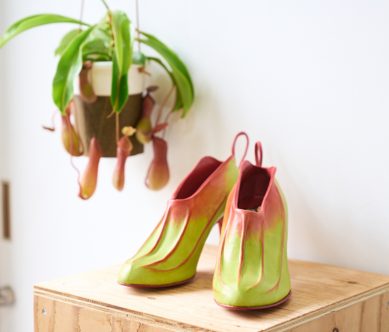 フットウェア部門 フューチャーデザイン賞 木下 実さんの作品 誘引 ウツボカズラ の画像