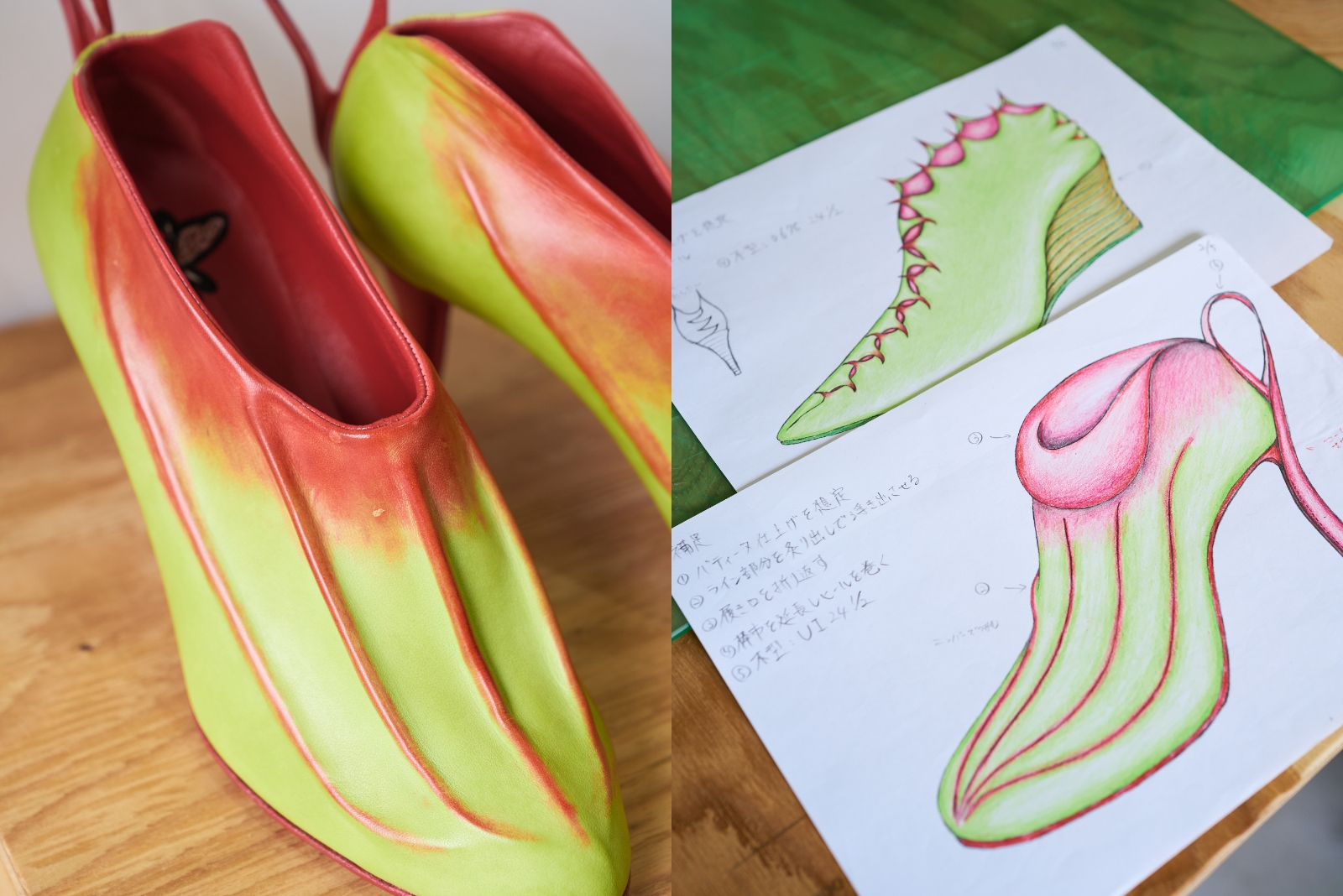 木下 実さんの作品 誘引 ウツボカズラ の画像