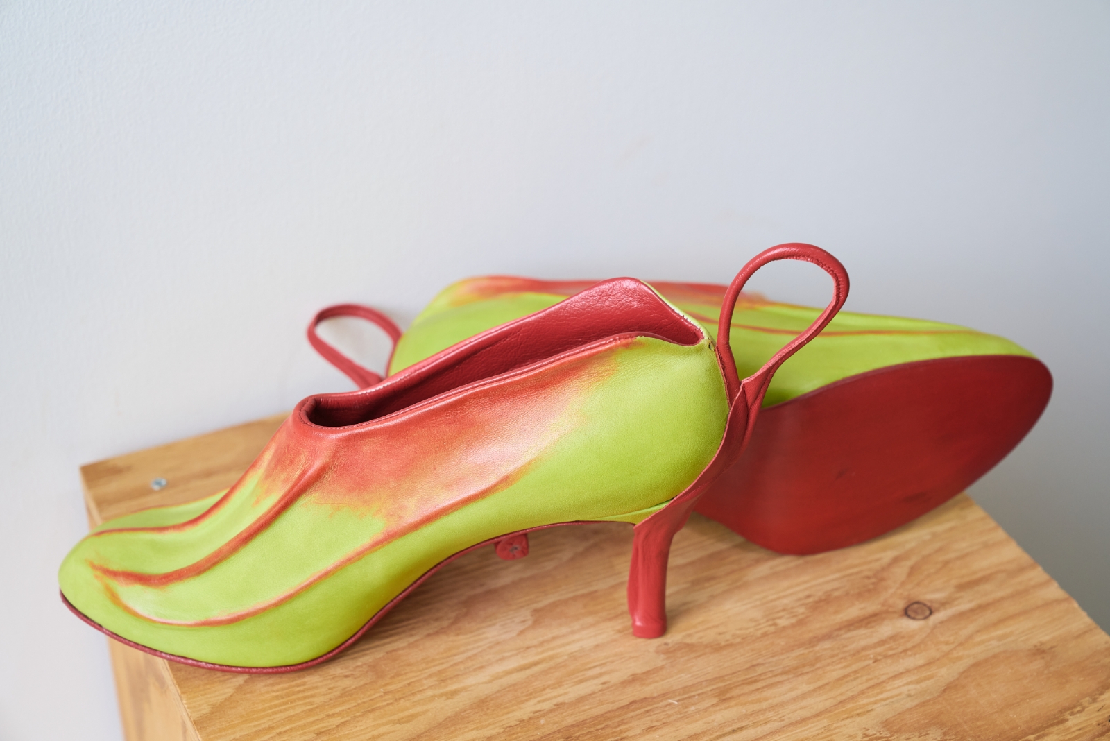 木下 実さんの作品 誘引 ウツボカズラ の画像