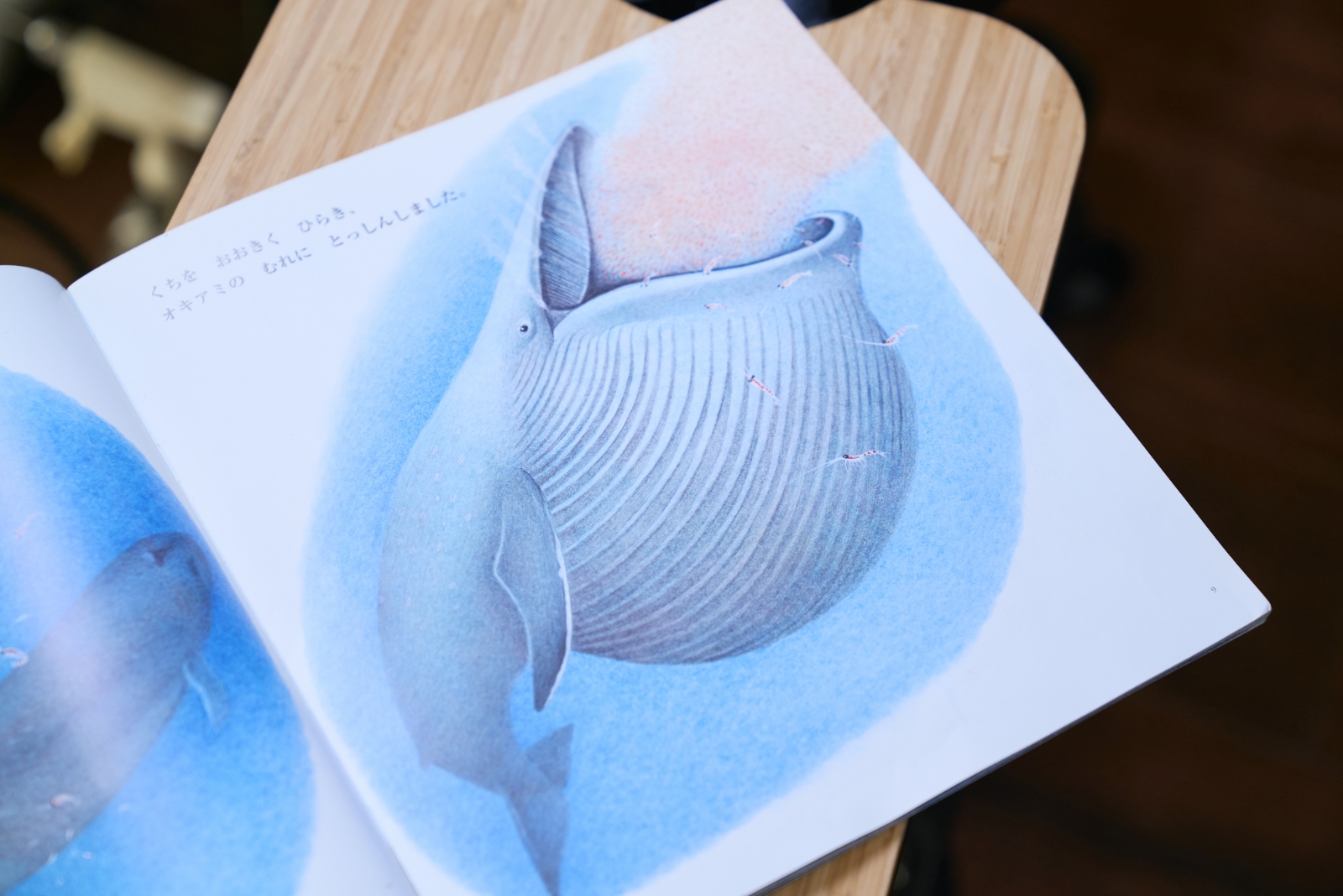 シロナガスクジラの絵本 の画像